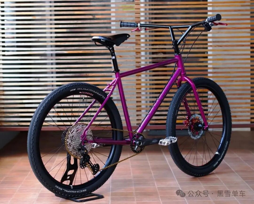 Pangaea bike profile view