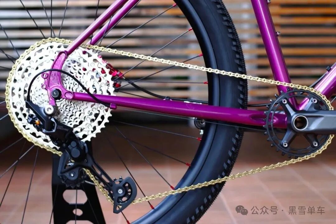 Pangaea bike in motion - wide shot