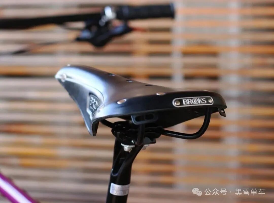 Close-up of Pangaea handlebar and stem integration