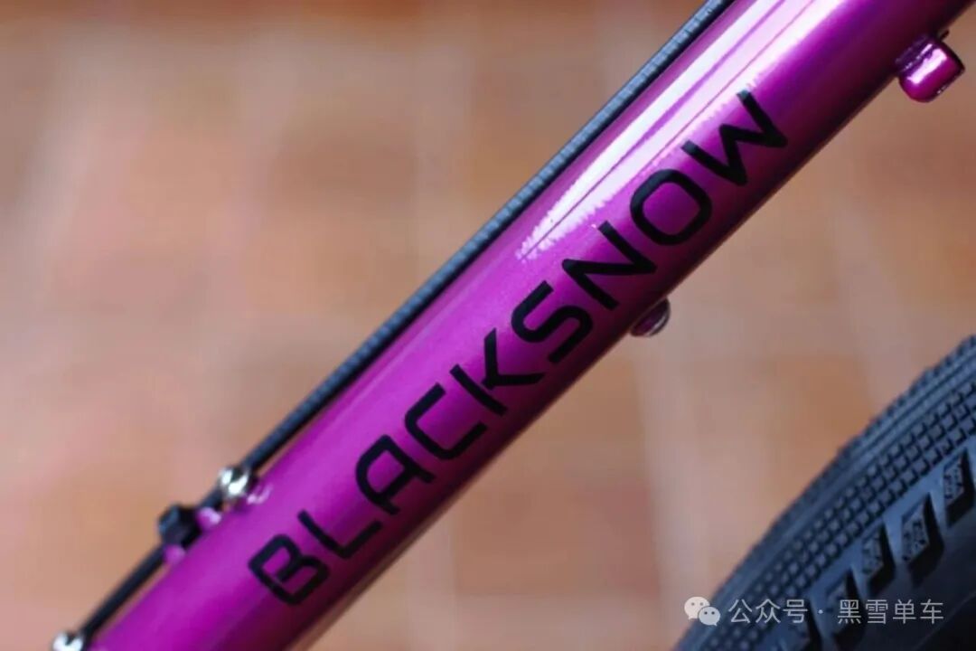 Pangaea bike rear view with rack mount