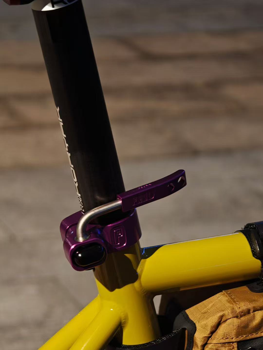 Shanghai skyline from bike path